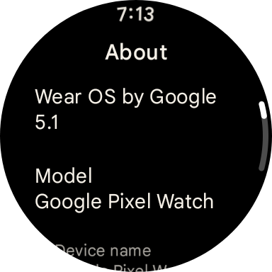 Google Sans on WearOS 5.1